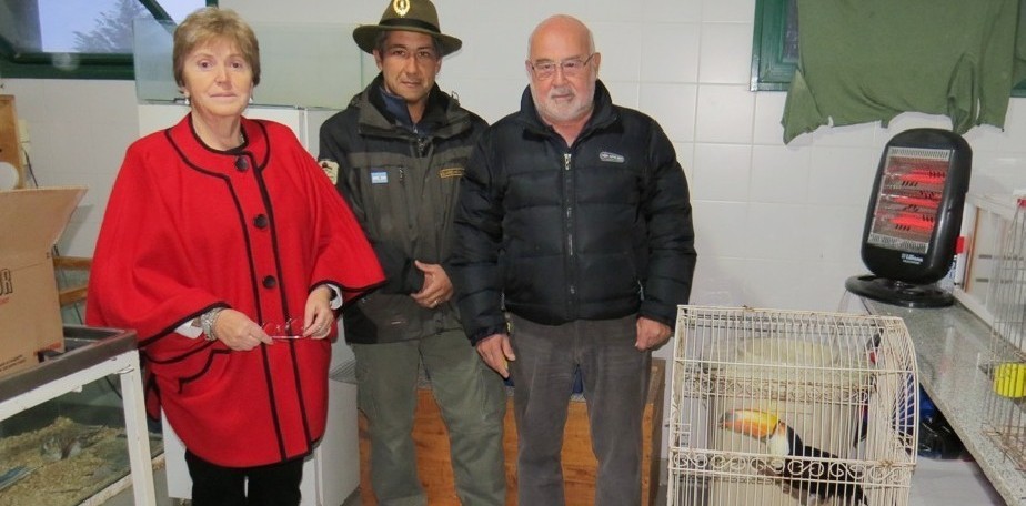 Aves recuperadas en allanamiento fueron trasladadas a Bubalc antes de ser liberadas
