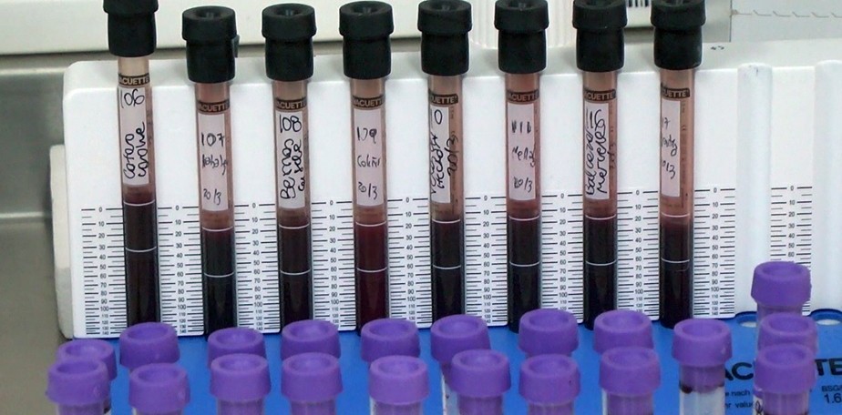 Campaa de testeo y vacunacin contra la Hepatitis B en Bariloche