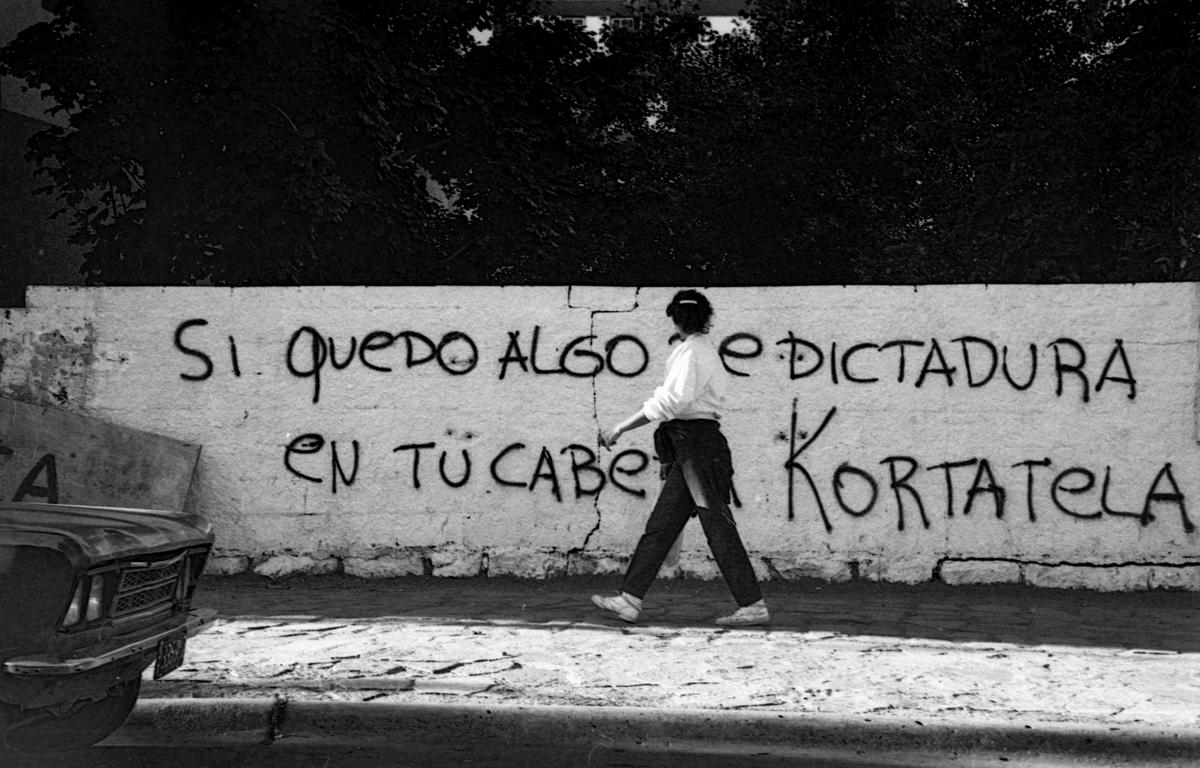 La recuperación democrática
