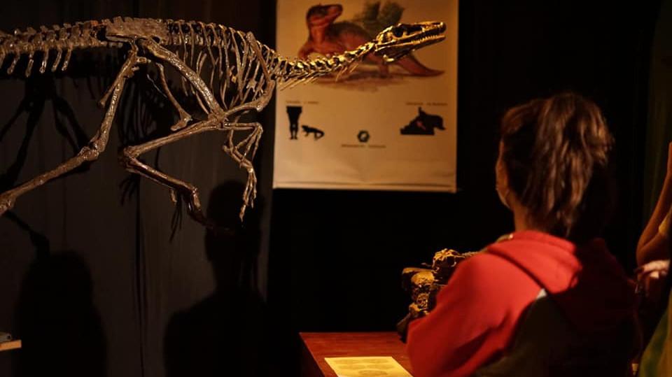 LLega una edición “Dinosaurios y otras bestias prehistóricas” a Maquinchao