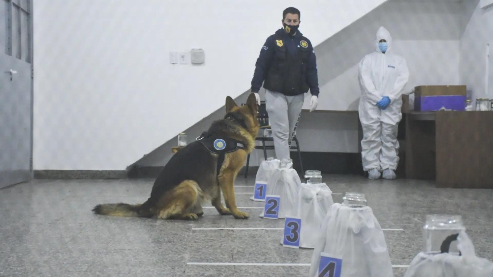 image?url=https%3A%2F%2Fsilvercoder.rionegro.gov.ar%2Ffiles%2F1765817552_76d20f0f8fdf11a33201