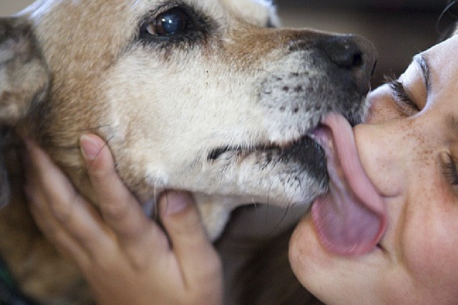 Salud brinda recomendaciones para prevenir la leptospirosis
