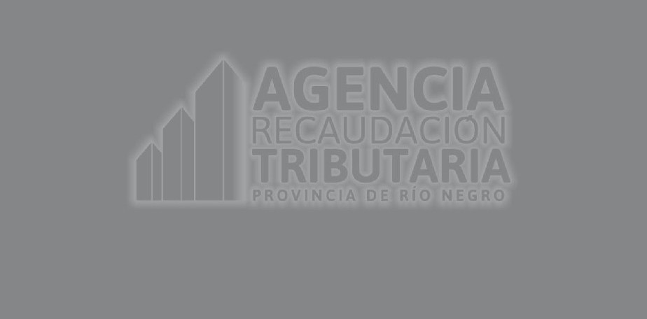 La Agencia modernizar� su sistema para mejorar la calidad de servicios al contribuyente