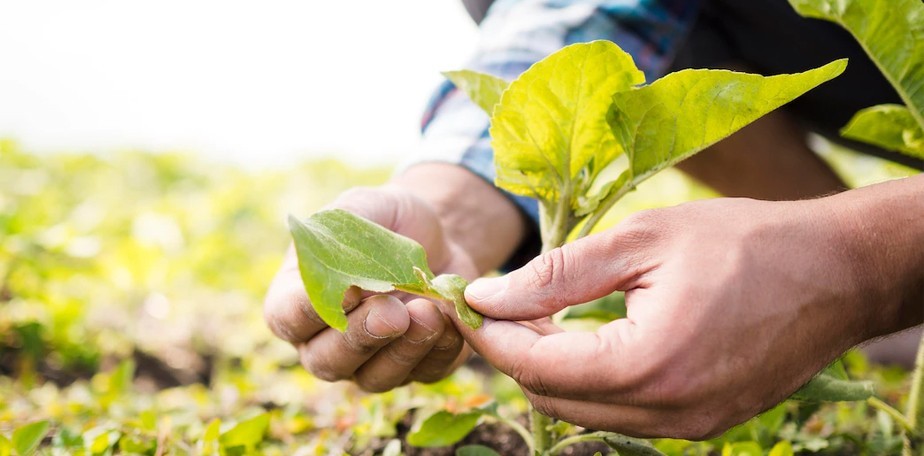 La Provincia lanza planes de pago especiales para productores agropecuarios en emergencia