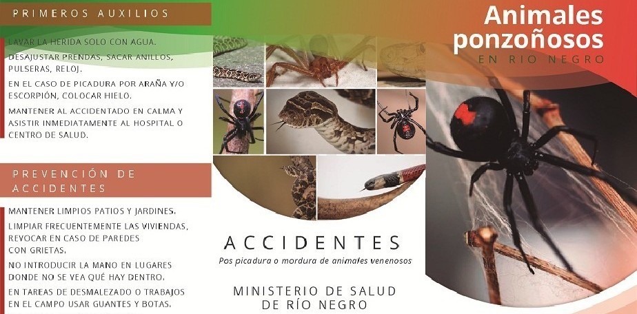 Salud brinda recomendaciones ante la presencia de alacranes, ar�cnidos y serpientes