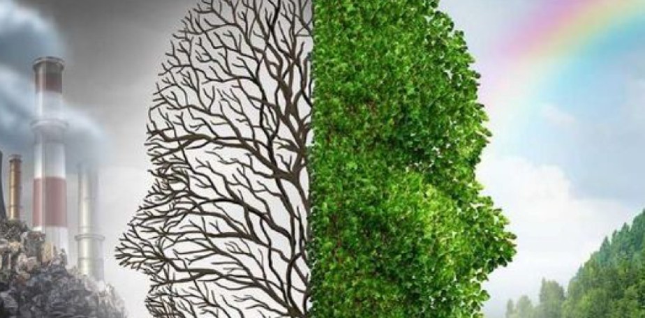 D�a Mundial del Aire Puro: ambientes 100% libres de humo 